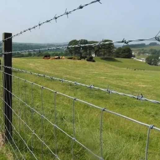 Concertina Barbed Wire Fencing Main Image 2